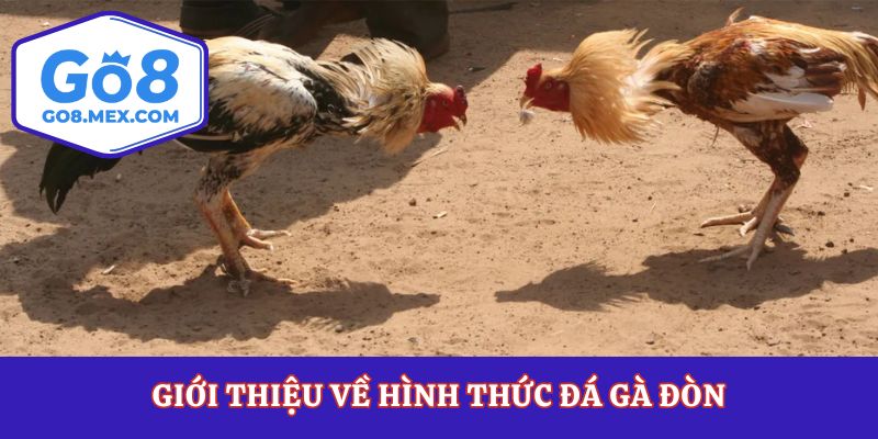 Giới thiệu về hình thức đá gà đòn
